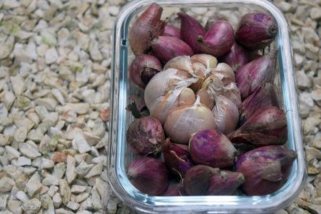 Garlic and shallot in plastic container on gravel background. Selective focus.の写真素材