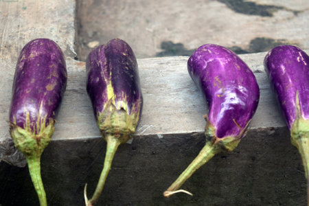Purple eggplants on a wooden background. Purple eggplants.の写真素材