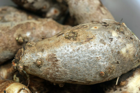 Close up of yam in a pot on a market stall.の写真素材