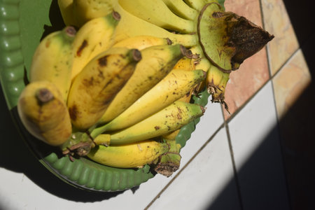 Bunch of bananas in a green bowl on the floor in sunlightの写真素材