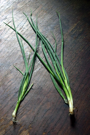 Green onions on a wooden background. Selective focus. Toned.