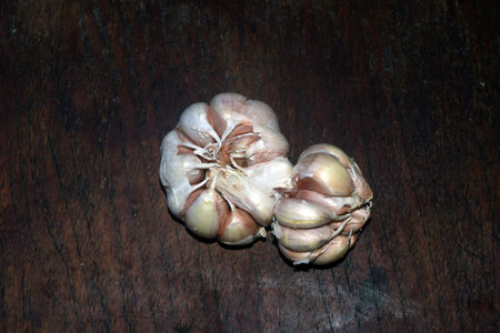 Garlic on wooden table. Garlic is a kind of garlic.の写真素材