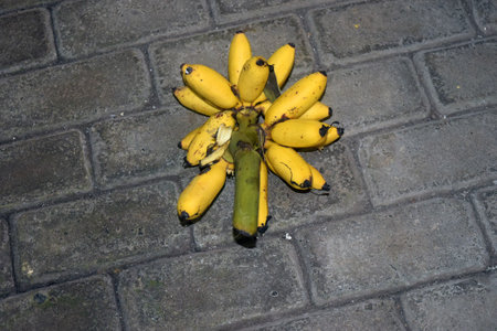 Bunch of bananas on the ground in Istanbul, Turkey. View from above.の写真素材