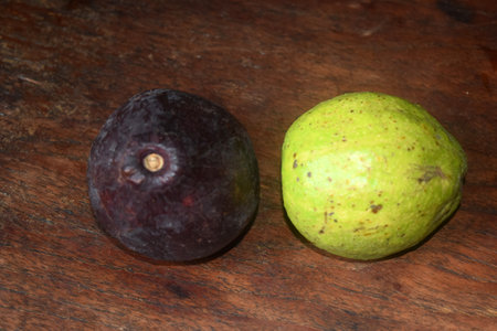 Figs and figs on a wooden table, closeup of photoの写真素材