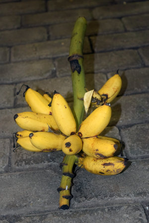 Banana bunch on the street in Thailand. Close-up.の写真素材
