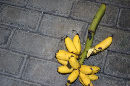 Bunch of bananas on the ground in the city. Selective focus.の写真素材