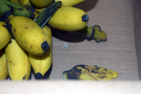 Bunch of bananas in a wooden box. Selective focus.の写真素材