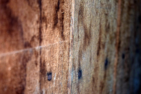 Wooden texture background. Close up of old wood texture background.の写真素材