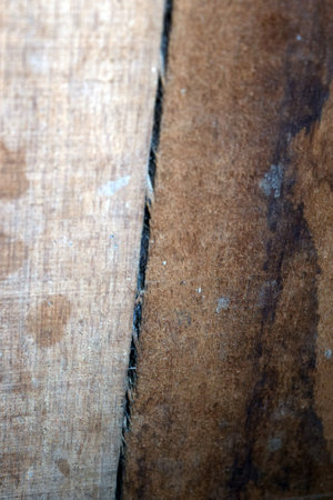 Old wood texture background. Floor surface. Close up of old wood texture.の写真素材