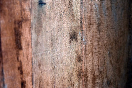 Old wood texture background. Close up of grunge wood texture backgroundの写真素材