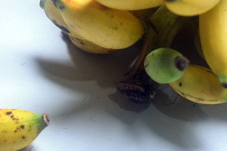 Bunch of bananas on a white background. Selective focus.の写真素材