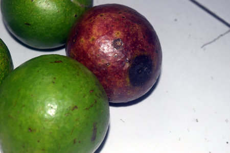 Mangosteen fruit on white background, close-up.の写真素材