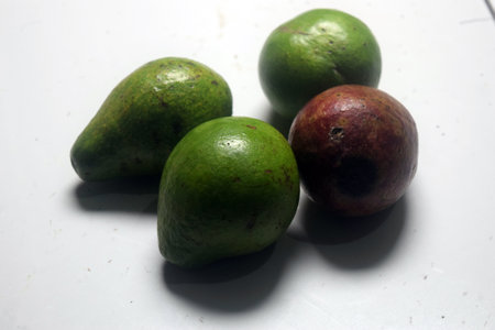 Avocado and lime on a white background. Exotic fruits.の写真素材