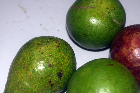 Avocado fruit on a white background. Avocado is one of the most popular fruits.の写真素材