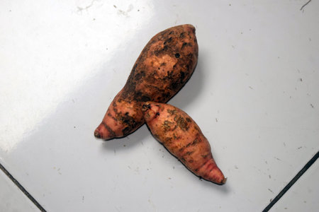 Sweet potato on white background, Thai sweet potato in the market.の写真素材