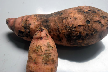 Sweet potato on a white background, close-up, selective focusの写真素材