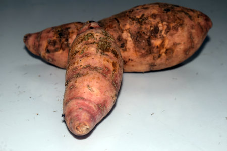 Sweet potatoes on a white background, close-up, selective focusの写真素材