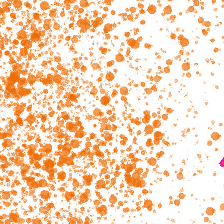 Abstract orange watercolor on white background. Hand-drawn illustration.の写真素材