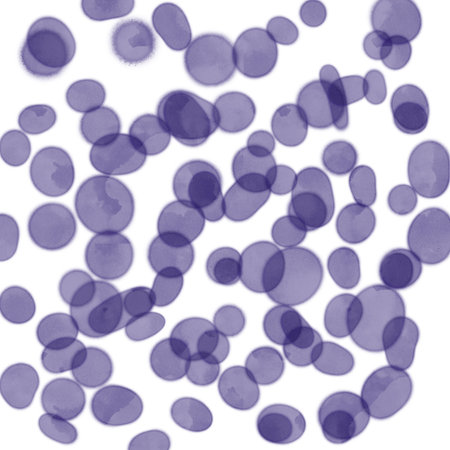 Abstract watercolor background with purple spots on white paper. Texture.