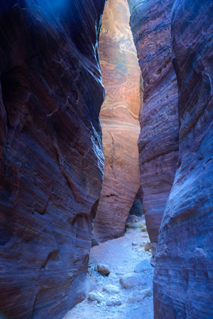 Explore the vibrant colors and unique illuminated rock formations of Wire Pass Slot Canyon in Utah. This natural wonder showcases striking hues and intricate patterns carved by nature - USAの写真素材