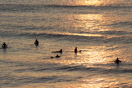 Silhouettes of surfers waiting for a wave near the beach at sunsetの写真素材