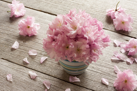 Pink Kwanzan cherry blossoms on a wooden tableの写真素材