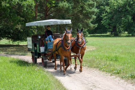 LEDNICE, CZECH REPUBLIC - JULY 2, 2011: Horse carriage in the park surrounding the Lednice castle in South Moraviaのeditorial素材