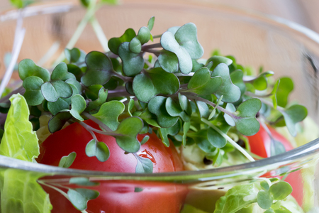 Fresh kale and broccoli microgreens in a vegetable saladの写真素材