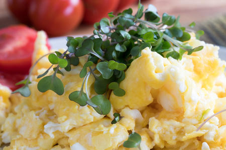 Fresh microgreens on top of scrambled eggsの写真素材