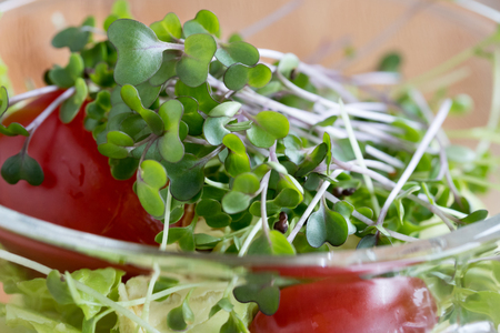 Fresh kale microgreens in a vegetable saladの写真素材