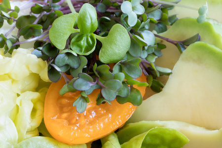 Fresh kale and basil microgreens in a vegetable saladの写真素材
