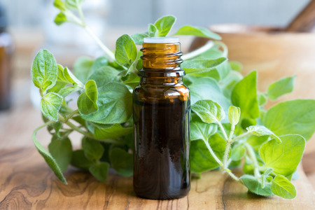 A bottle of oregano essential oil with fresh oregano leaves in the backgroundの写真素材