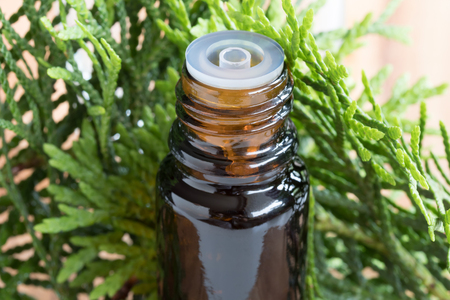 A bottle of thuja essential oil with fresh thuja twigs in the backgroundの写真素材