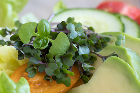 Fresh kale and basil microgreens in a vegetable saladの写真素材