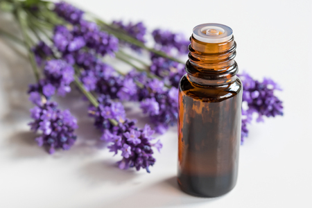 A bottle of lavender essential oil with fresh lavender on a white background