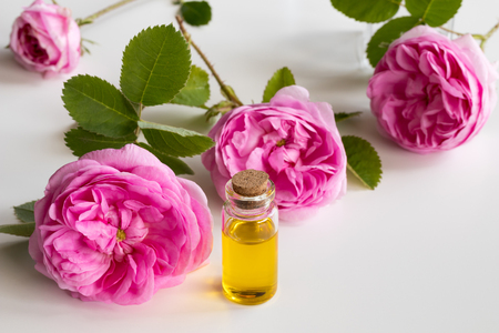 Rose essential oil: a bottle of oil with a rose flowers on a white backgroundの写真素材