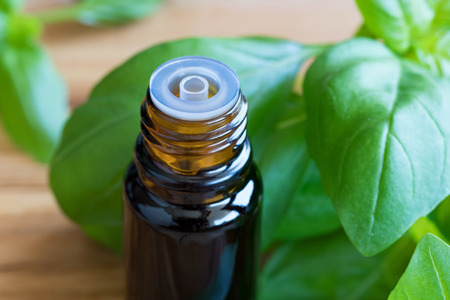 A bottle of basil essential oil with fresh basil leaves.の写真素材