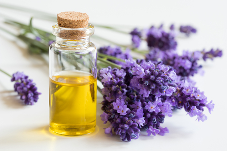 A bottle of essential oil with fresh lavender twigs on a white backgroundの写真素材