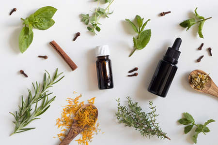 Two bottles of essential oil with a selection of herbs on a white background - peppermint, basil, thyme, rosemary, cinnamon, clove, oregano, chamomile, calendulaの写真素材