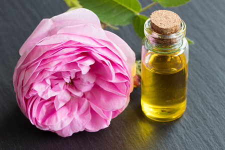 A bottle of essential oil with a rose flower on a dark backgroundの写真素材