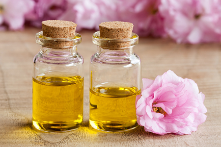 Two bottles of essential oil with pink japanese cherry blossoms in the backgroundの写真素材