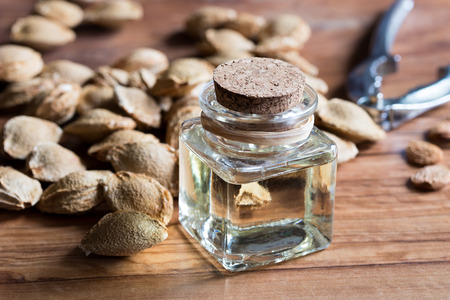 A bottle of apricot kernel oil with apricot kernels on a wooden backgroundの写真素材
