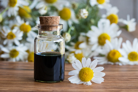 A bottle of dark blue chamomile essential oil with fresh chamomile flowers on a wooden backgroundの写真素材