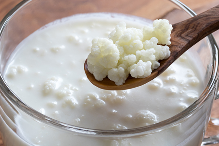 Kefir grains on a wooden spoon above a jar of homemade milk kefirの写真素材