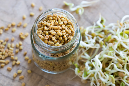 Dry fenugreek seeds in a glass jar, with sprouted fenugreek in the backgroundの写真素材