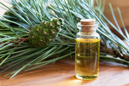 A bottle of pine essential oil with fresh pine branches in the backgroundの写真素材