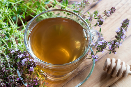 A cup of creeping thyme (thymus serpyllum) tea, with fresh creeping thyme twigs on a wooden backgroundの写真素材