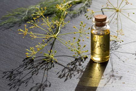 A bottle of dill seed oil with fresh dill in the backgroundの写真素材