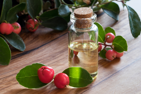 A bottle of wintergreen essential oil with fresh wintergreen twigs on a wooden backgroundの写真素材