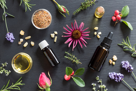 Bottles of essential oil with rosemary, thyme, creeping thyme, echinacea, wintergreen, lavender, myrrh, frankincense and rose buds on a dark backgroundの写真素材
